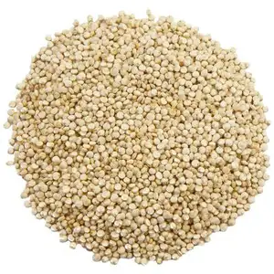 Groothandelsprijs Granen Quinoa Eiwit Concurrerende Prijs Groothandel Quinoa Zaden Max Wit Te Koop Quinoa Graan Broodrooster