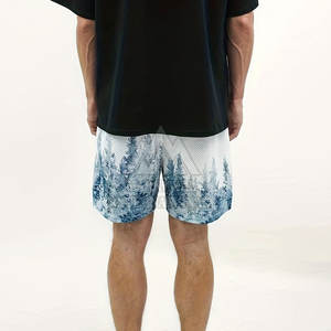 Shorts de sport en maille pour hommes avec logo personnalisé à bas prix, vente chaude, shorts en maille de couleur personnalisée - Product Image 6