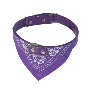 Luxe Lichtgewicht Verstelbare Duurzame Pu Meerkleurige Hond Kat Halsband Para Perro Huisdieraccessoires Hond Halsband - Product Image 3