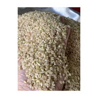 Fournisseur de qualité japonais Sushi Japonica Japon 30kg Importation Grain Blanc Long Riz court sain en vrac à bas prix