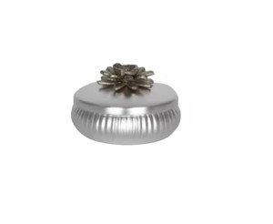 Recipiente de Metal con tapa de calidad de Venta caliente para el hogar, cocina, especias, frutas secas, uso de almacenamiento, recipiente de plata a precio asequible - Product Image 2