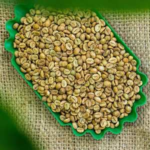 Granos de Café Verde Robusta Premium de Vietnam, Granos Enteros con un Sabor Intenso y Rico para Tostadores de Café - Product Image 1