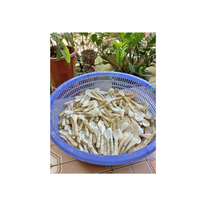 Cuillère à caviar en nacre blanche de qualité supérieure Cuillère à coquille exquise faite à la main pour une cuisine raffinée, ustensile non métallique assurant la pureté - Product Image 2