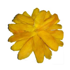 มะม่วงอบแห้งชิ้นโรงงานขายส่งแช่แข็งแห้งผลไม้ราคาที่ดีที่สุดในเวียดนามโรงงาน - Product Image 1