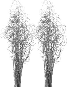 Palm Ting Ting Fleur Séchée Technique Sèche Naturelle Différentes Tailles Remplisseur de Vase pour Toucher Décoratif Saisonnier - Product Image 5