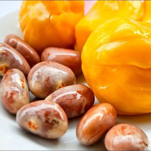 Nuez de yaca seca de exportación superior del proveedor auténtico a precio competitivo - Product Image 1