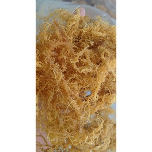 Venta al por mayor de algas marinas naturales amarillas/blancas Eucheuma Cottini de Vietnam- 100% secas, sin sal - Product Image 4