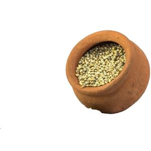 Millet vert pour l'alimentation animale Disponible pour l'exportation - Product Image 4