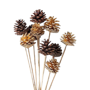 Pomme de pin naturelle en gros prix pomme de pin décoration de noël pour la décoration de chambre et de fête - Product Image 1