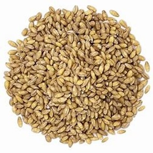 Entrega rápida de grano de cebada seco para exportación a todo el mundo a precio de granja - Product Image 2