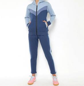 Nueva llegada logotipo personalizado ropa deportiva chándal entrenamiento Fitness polar Sudadera con capucha y pantalones Jogger conjuntos chándal para mujer precio de venta - Product Image 2