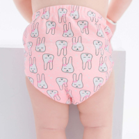 Culottes d'apprentissage de la propreté pour bébé, en coton, unisexe, durables, avec noyau absorbant non toxique, pour usage de jour et de nuit, 2-6 ans, taille élastique