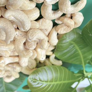 เม็ดมะม่วงหิมพานต์แบบเวียดนามเม็ดมะม่วงหิมพานต์ปรับขนาดได้ - Product Image 1