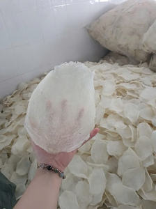 Grosbeau de poisson vietnamien - Transformation traditionnelle, idéal pour les applications culinaires et les soupes - Product Image 5