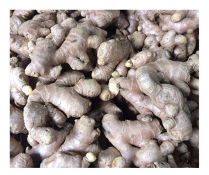 Produit haut de gamme à vendre avec offre compétitive gingembre frais en vrac prêt à l'expédition/gingembre frais des fournisseurs du Vietnam - Product Image 1