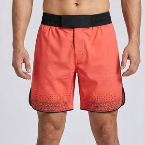 Vêtements de sport légers, shorts MMA à taille élastique, matière extensible pour l'entraînement aux arts martiaux et les séances d'entraînement quotidiennes - Product Image 5