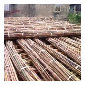 Proveedor vietnamita proporciona poste de ratán natural/blanqueado/poste de ratán de materia prima, núcleo de ratán con precio competitivo - Product Image 3