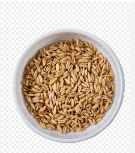 Grains d'orge biologique pour le malt Meilleur prix de gros Livraison rapide Aliments pour animaux maltés en stock - Product Image 3