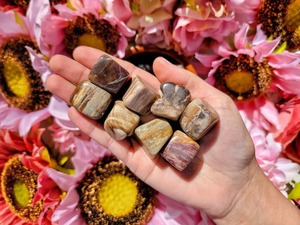 Bois pétrifié pierres dégringolées pierres de cristal de guérison gravier pierres dégringolées pour cadeaux Alfazal Agate en gros en vrac naturel - Product Image 5