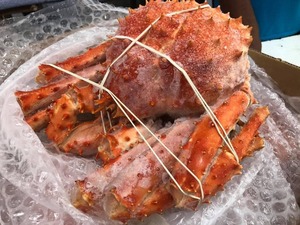 Racimos de cangrejo rey frescos y congelados, incluidos cangrejos de concha blanda azul nieve, almacenamiento en vivo - Product Image 3