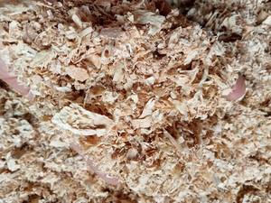 Afeitado de madera de pino, serrín de mezcla de madera suave, ligero - Product Image 2