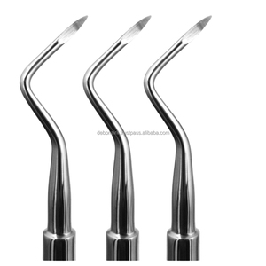 Outils d'extraction dentaire manuels pour les applications en clinique hospitalière avec un ensemble de levage de racine incurvé en acier inoxydable durable - Product Image 6