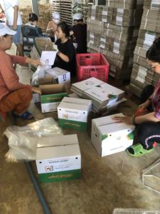 Caja de jengibre fresco 10kg Jengibre fresco terroso y aromático - Product Image 3