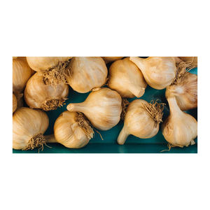 Ail frais direct de la plus haute qualité, Belgique, prix bas, stock en gros, ail rouge commun, durée de conservation de 12 mois, stockage au frais et à sec, personnalisable - Product Image 4