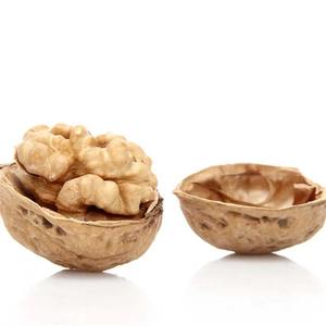 วอลนัทอบแห้งออร์แกนิคทำจากเปลือกวอลนัทผลิตจากเปลือกวอลนัทธรรมชาติ - Product Image 2