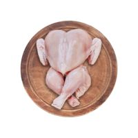 Pollo congelado empacado para satisfacer la demanda mayorista de cadenas de restaurantes y distribuidores de importación global Oferta especial