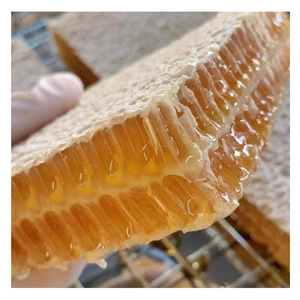 Sweeten Raw Pure Honeycomb Cake, Multiflower Honeycomb Cake De 100% Honey Bee Packing 500gr/Caja Origen En Vietnam - Product Image 3