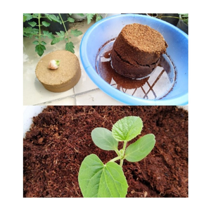 อิฐพรุมะพร้าวแบบบีบอัดขยายเป็นครีมนวดผมที่เข้มข้นเหมาะสำหรับการทำสวนไฮโดรโปนิกส์และการเริ่มเมล็ด - Product Image 1