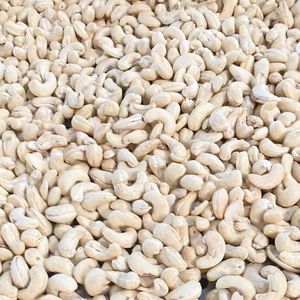 Best Rate Kernel Cashew <b>Nut</b> Cashew <b>Nuts</b> 2024 Cashew <b>Nuts</b> Premium Quality Wholesale Exported To Asia, EU, MIDDLE EAST - Product Image 1