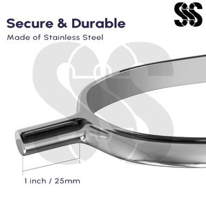 Espuelas de Equitación de Acero Inoxidable Hechas en Pakistán 2026, Duraderas y Resistentes a la Corrosión, Estilo Inglés, para Hombres y Mujeres - Product Image 3