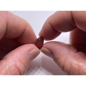 Granate Rojo Corazón de 8mm, Gema de Alta Calidad, Valle de Umba, Tanzania - Product Image 3