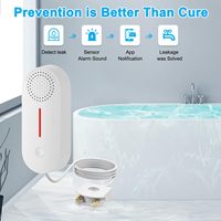 Détecteur d'eau intelligent Wi-Fi Daytech Tuya avec alarme via application à volume réglable, matériau ABS durable, installation facile