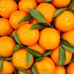 El mejor mercado para naranjas Juicy Orange Fresh Citrus Fruit Lleno de nutrición para comer y disfrutar - Product Image 2