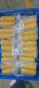 Maíz congelado de Vietnam con sabor y color natural adecuado para compradores mayoristas y clientes minoristas - Product Image 5