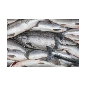 Poisson entier congelé de qualité supérieure pour la vente en gros, produit de la mer soigneusement traité avec une saveur naturelle, idéal - Product Image 3