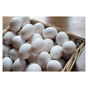 ผู้ผลิตไข่ไก่จากบราซิลฟาร์มราคาถูกขายโดยตรงอินทรีย์สีขาวไก่ไข่ไก่ไก่ไข่สำหรับขาย - Product Image 5