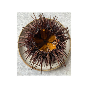 เม่นทะเลยังมีชีวิตอยู่อาหารทะเลเกรดสูง - Product Image 6