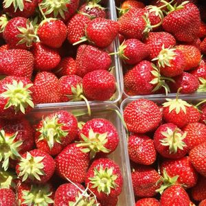 Fraises fraîches en gros en stock, sucrées et mûres, livraison rapide, meilleur prix pour la pâtisserie ou la consommation quotidienne, prix bas en promotion - Product Image 1