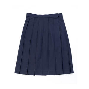 Tremendous Quality <b>Girls</b> Knee Length C8-Navy Breathable Anti-Wrinkle Japan Style 16-Pleated Zipper <b>Skirt</b> School Uniform - Product Image 1