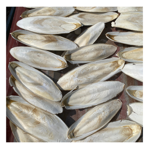 กระดูกปลาหมึกตากแห้งธรรมชาติ คุณภาพสูง ไม่แตกหัก สำหรับนกและอาหารสัตว์เลี้ยง สำหรับส่งออก - Product Image 6