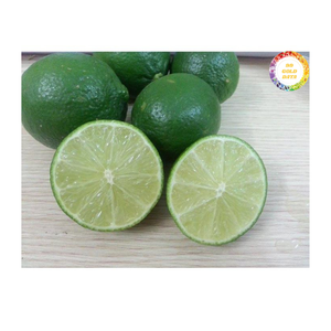 Vietnam Fresh Lime Authentique Matériel d'agrumes naturels cueillis à la main pour la cuisson des jus et l'utilisation internationale de l'exportation en gros - Product Image 4