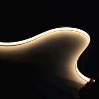 Tira de Luz LED de Silicona de Neón Flexible de 24 V CC, 8 x 16 mm, IP68, SMD2835, 120 LED/m, para Señalización Exterior de Hoteles