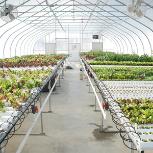 Serra Agricola Monocampata Skyplant a 3 Strati con Film PE Estruso e Ventilazione Superiore, Grande Dimensione per la Coltivazione di Ortaggi - Product Image 4