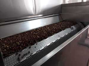 Peanut <b>Hazelnut</b> Almond Cashew Roasting Machine High Capacity Automatic High Quality 304 Stainless Steel Nuts Roasting Machine - Product Image 2