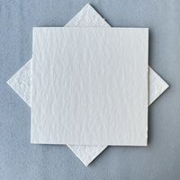 Feuilles de filtre en acétate de cellulose Carton rigide 40*40cm Papier filtre pour laboratoire spécialisé et analyse génotypique