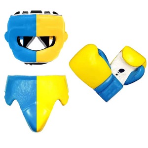 Equipo de boxeo personalizado al por mayor: guantes de cuero, protector de cabeza, protector de entrepierna, equipo de entrenamiento de sparring, gimnasio, fitness, deportes - Product Image 1